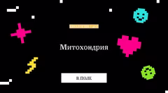 Правильный ответ о митохондрии.