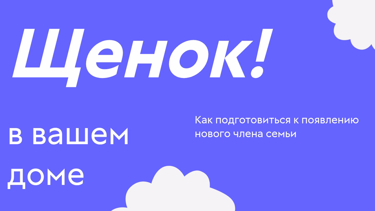 Появление щенка в доме подготовка к новому члену семьи.