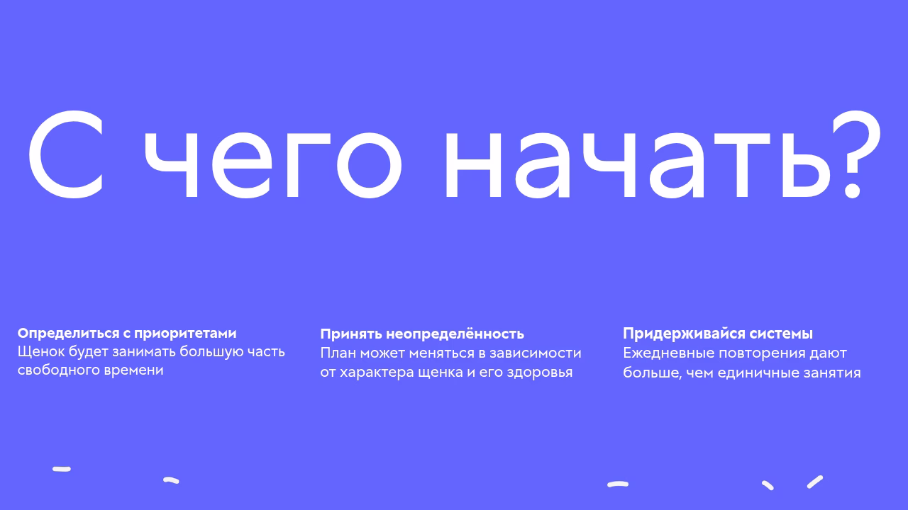 Приоритеты неопределенность система в воспитании щенка.