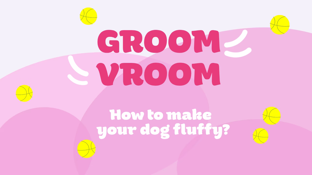 Dogs basic information overview.