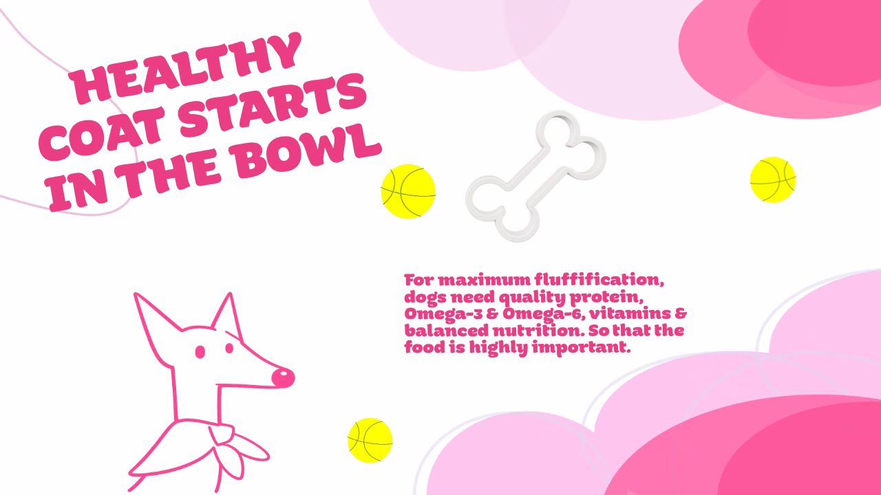 Dog care and nutrition tips.
