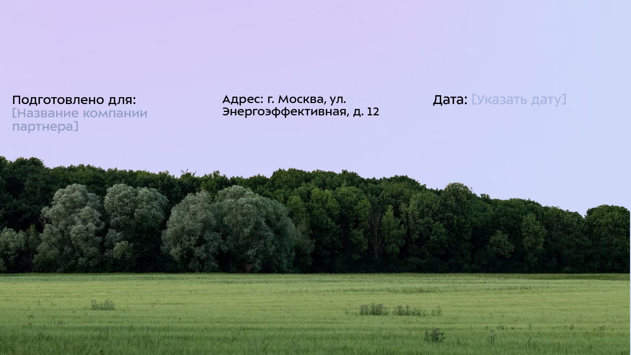 Данные о партнере и дате предложения.