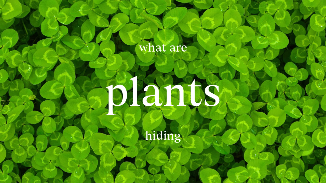 Plants hidden abilities environment interaction